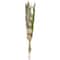 60" Green Dried Plant Assorted Bouquet Pampas Grass Natural Foliage with Palm Leaf Accents